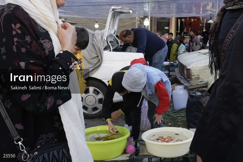 Tajrish market on the eve of Nowruz