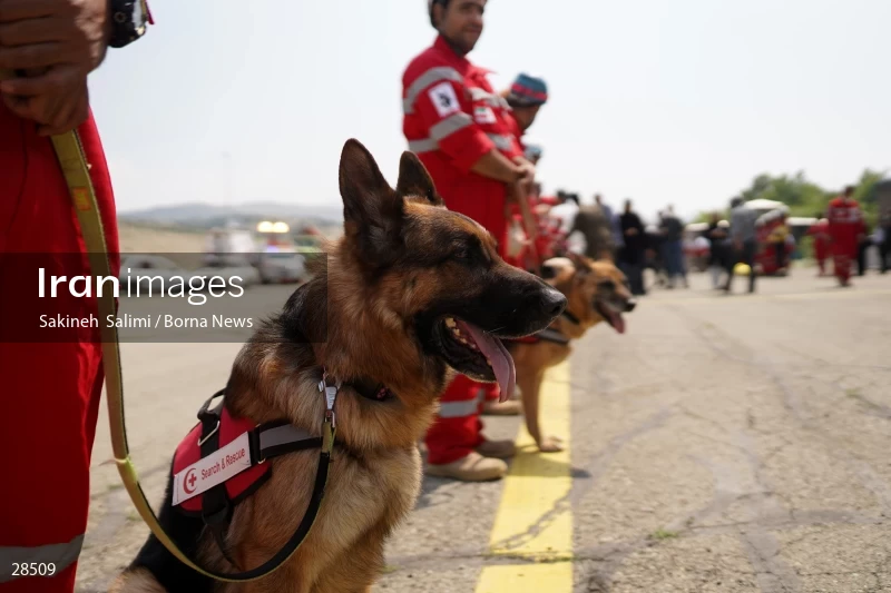 Training operation of Iranian Red Crescent Society