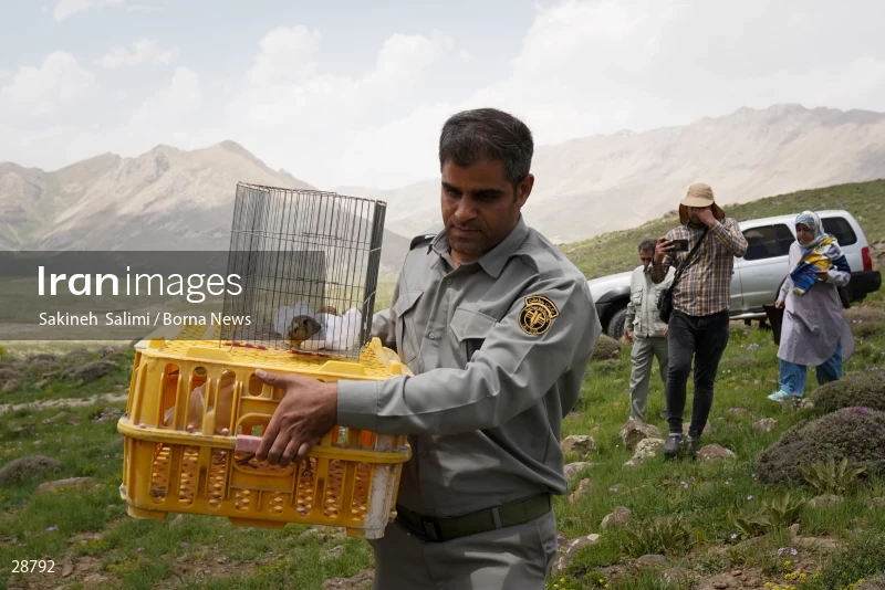 Releasing several species of birds in Lar National Park