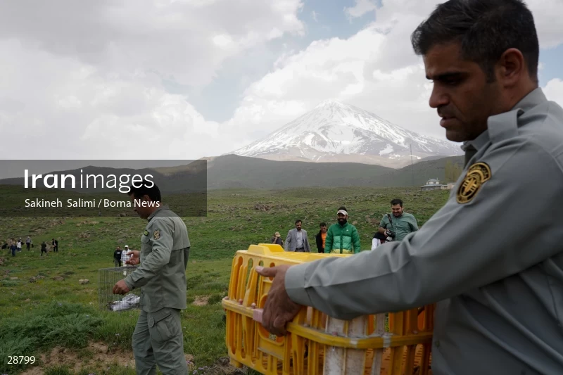 Releasing several species of birds in Lar National Park