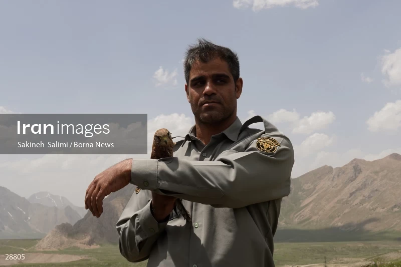 Releasing several species of birds in Lar National Park