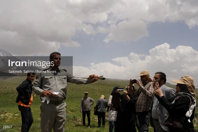 Releasing several species of birds in Lar National Park