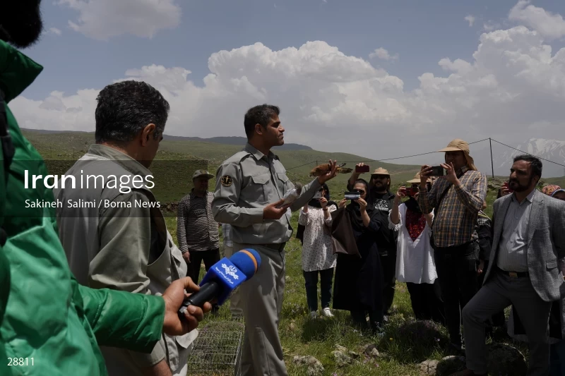 Releasing several species of birds in Lar National Park