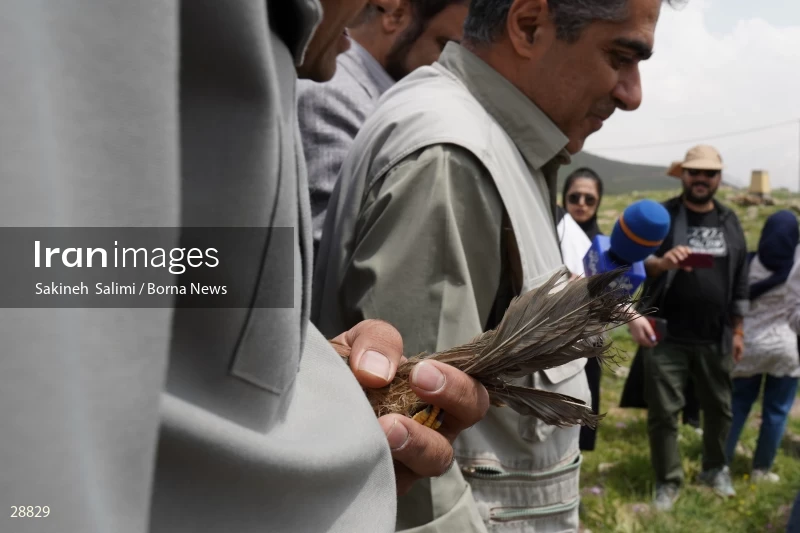 Releasing several species of birds in Lar National Park