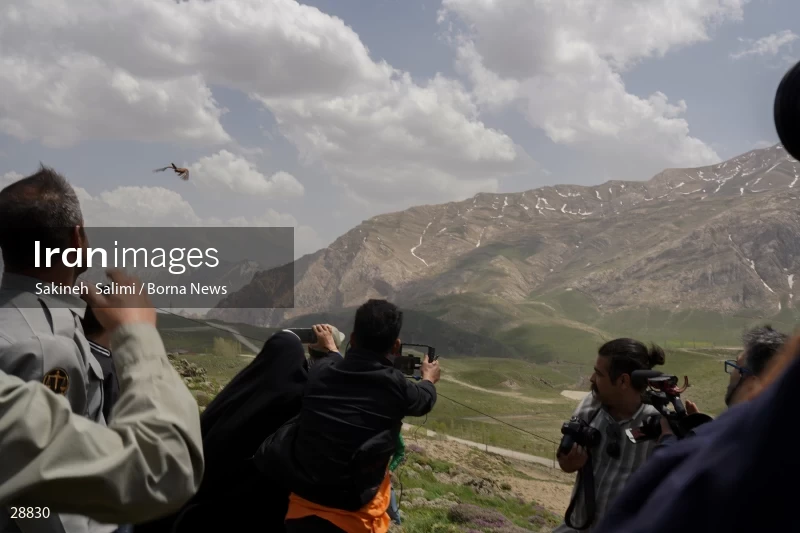 Releasing several species of birds in Lar National Park