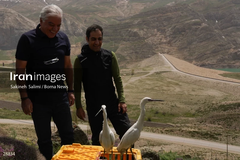 Releasing several species of birds in Lar National Park
