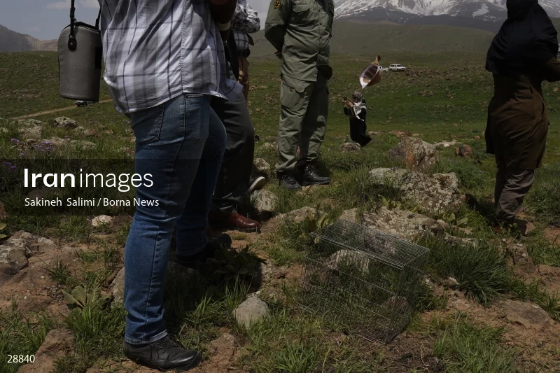 Releasing several species of birds in Lar National Park