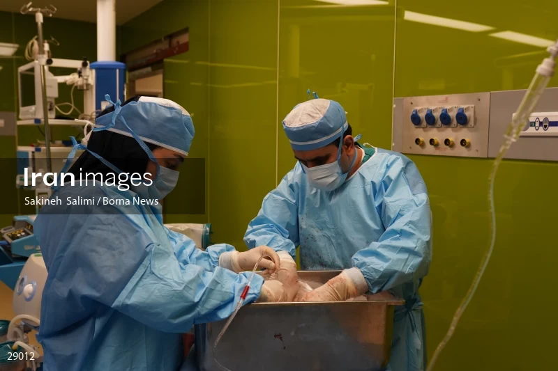 Organ donation surgery in Masih Daneshvari hospital