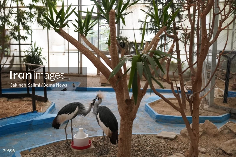 Tehran Birds Garden