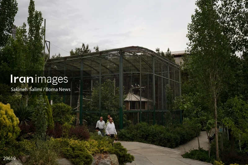 Tehran Birds Garden