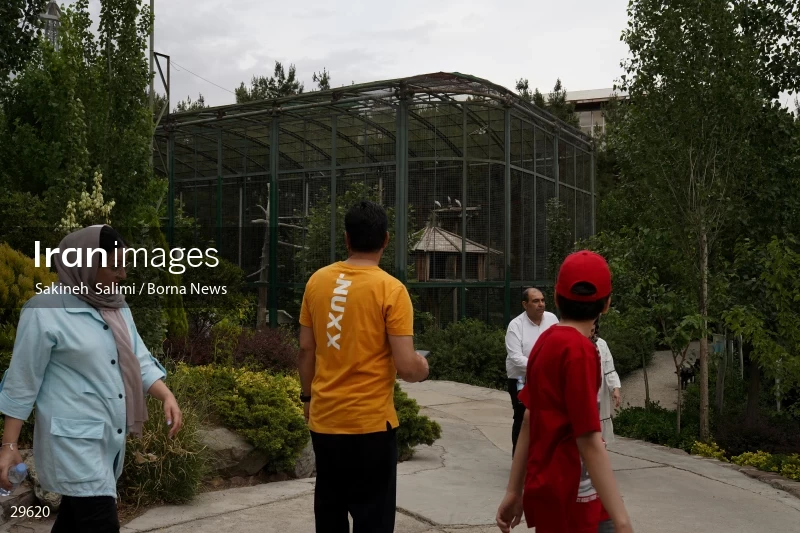 Tehran Birds Garden