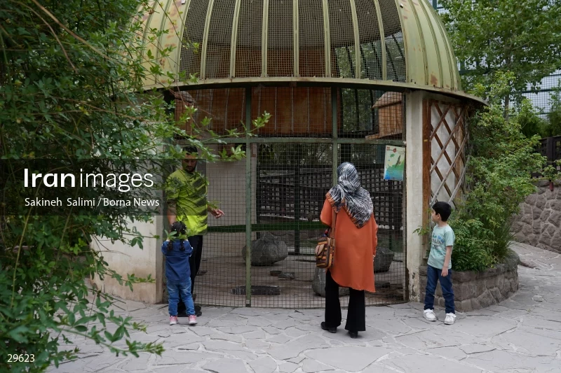 Tehran Birds Garden