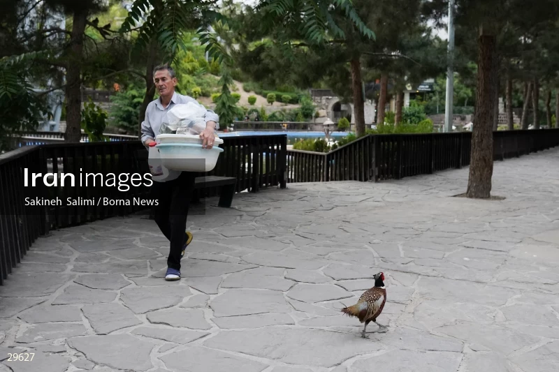 Tehran Birds Garden