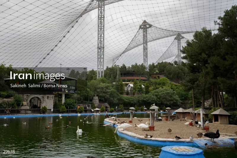 Tehran Birds Garden