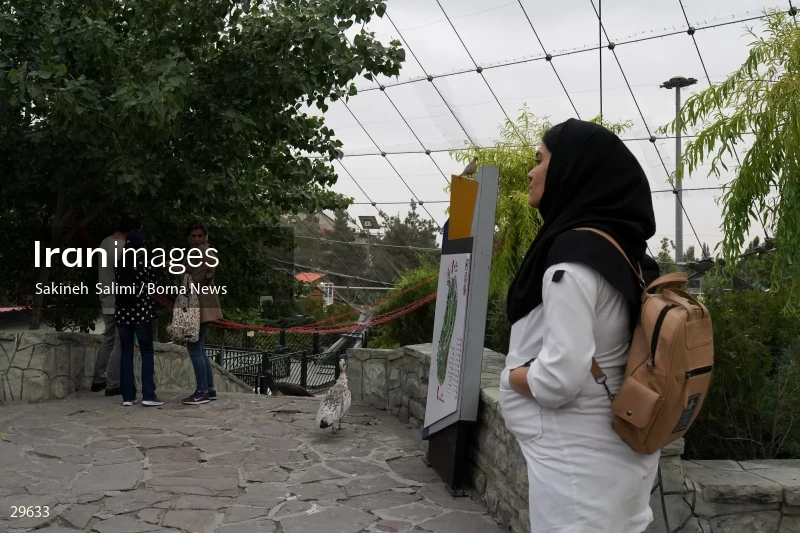 Tehran Birds Garden