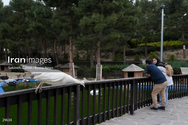 Tehran Birds Garden