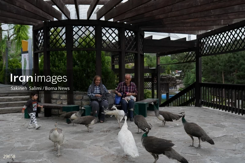 Tehran Birds Garden
