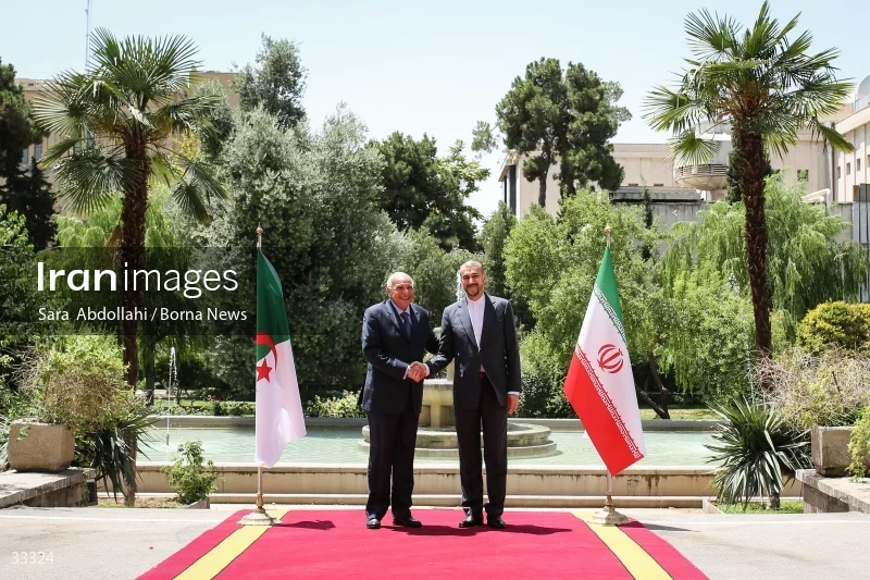 Meeting of foreign ministers of Iran and Algeria