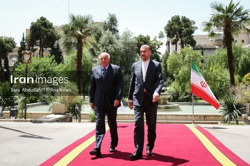 Meeting of foreign ministers of Iran and Algeria