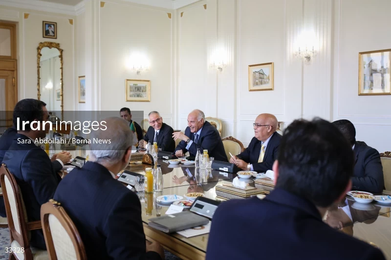 Meeting of foreign ministers of Iran and Algeria