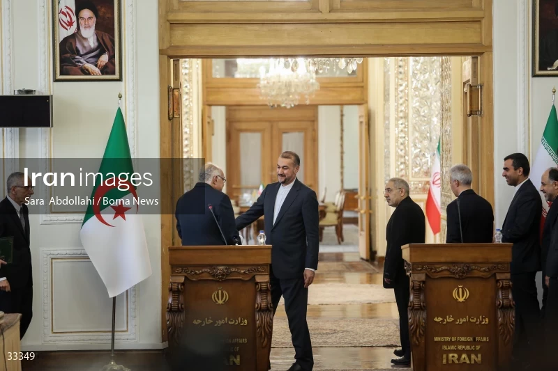 Meeting of foreign ministers of Iran and Algeria