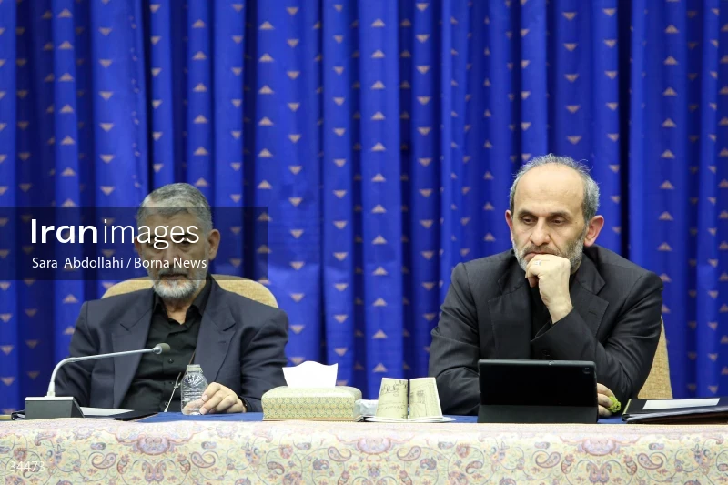 Meeting of the National Virtual Space Center