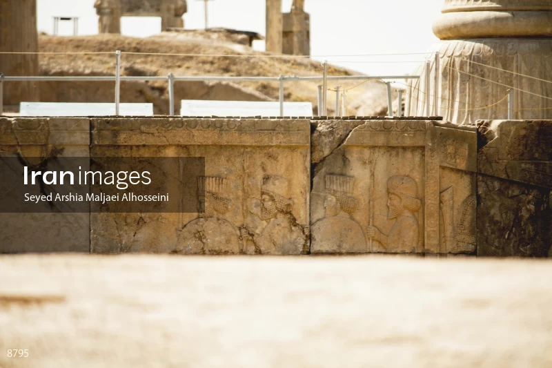 Persian and Median soldiers bas-relief in persepolis