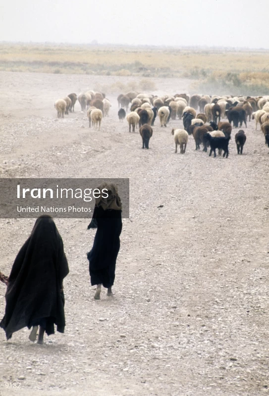 Exploring Iran’s Resources