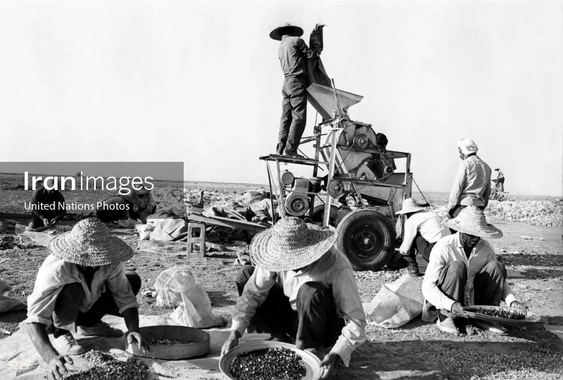 Agricultural Development in Iran