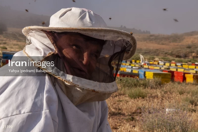 Reza, A Beekeeper