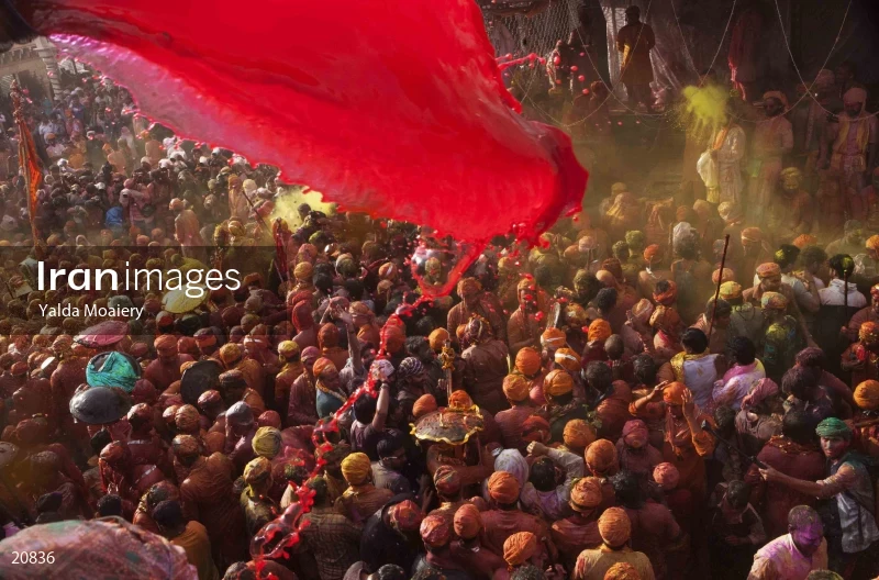 Holi Festival