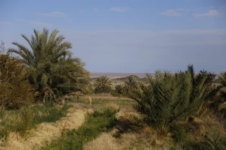 Bayazeh village