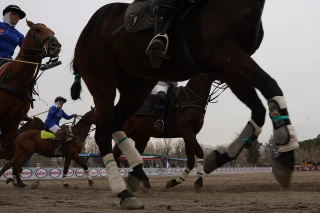 Polo competitions of the First International Nowruz Games For Women