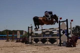 Armos Cup international horse jumping competition