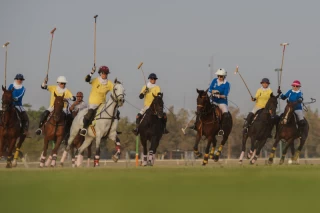 The 7th week of the National Women's Polo League (Laleh Cup)