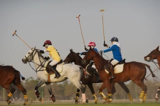 The 7th week of the National Women's Polo League (Laleh Cup)