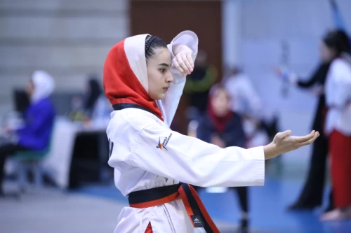 Neshat Cup, The Taekwondo League competitions in the women's category