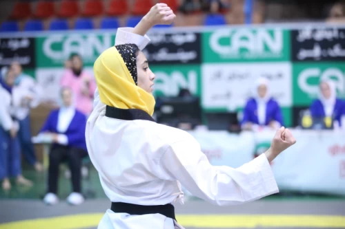Neshat Cup, The Taekwondo League competitions in the women's category