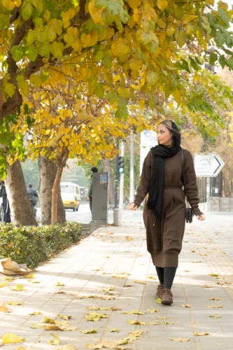 پاییز شهر تهران