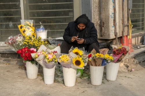 زن گلفروش در تهران