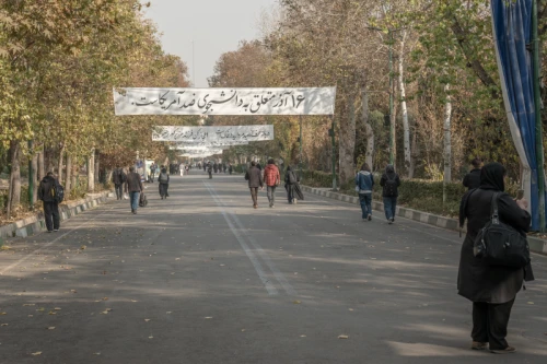 دانشگاه تهران در روز دانشجو 1404