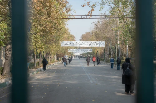 روز دانشجو دانشگاه تهران پاییز 16 آذر 1404