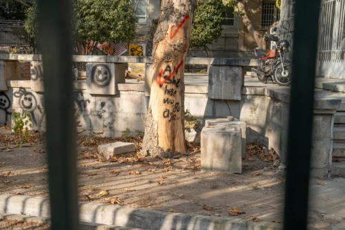 حال و هوای دانشگاه تهران در روز دانشجو