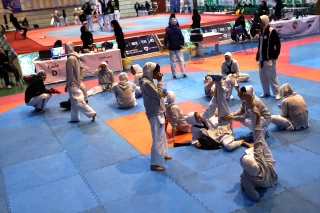 Iran women Taekwondo League